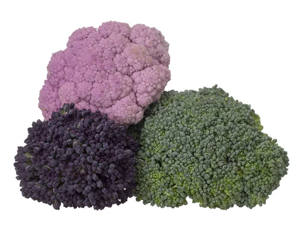 Natürlich farbenfrohes Gemüse, isoliert auf weiß. roher Blumenkohl, Brokkoli und lila keimende Röschen. Gesundes Sortiment. lizenzfreie Stockfotos