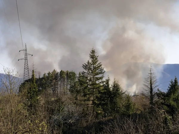 Лес, горит лес, Италия. Дым льется над пылающими деревьями, лесами . — стоковое фото