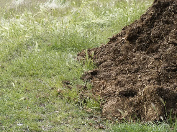 Manure aka muck. Natural fertilizer. Background with copyspace. — Stock Photo, Image