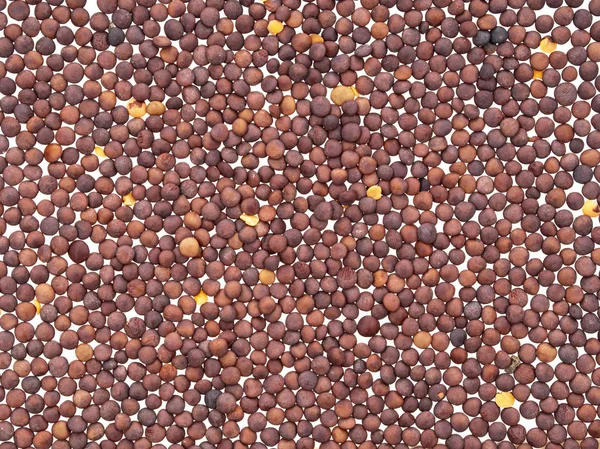 Organic brown lentils background. — Stock Photo, Image