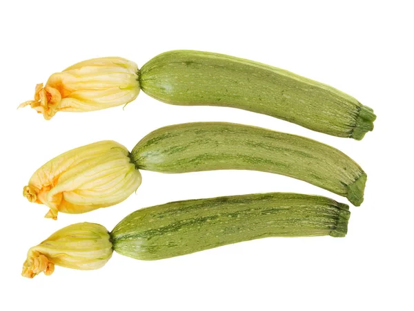 Zucchine piccole con fiori isolati su sfondo bianco . — Foto Stock