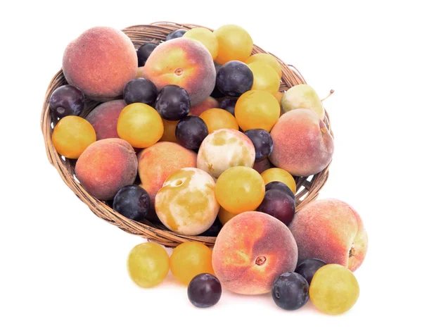 Altmodisches Obst aus längst verlassenen Obstgärten. verschiedene winzige Pflaumen, Gemüse vielleicht und kleine, süße Pfirsiche. naturbelassene Früchte. isoliert. Stockbild