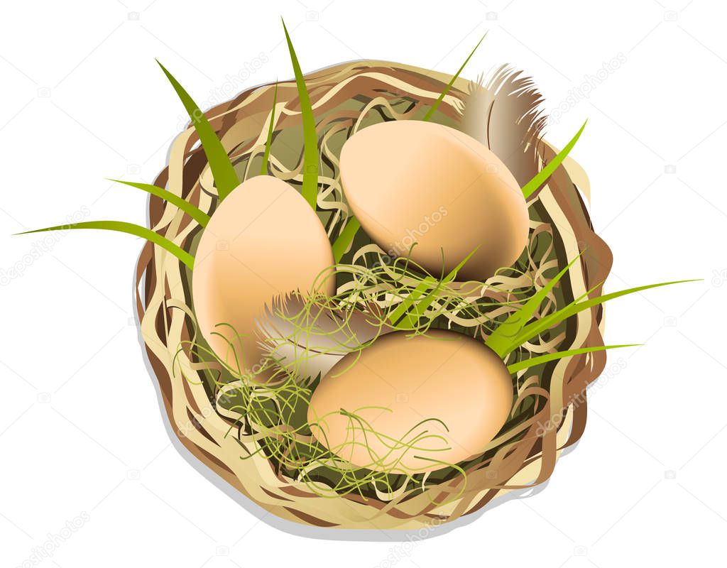 Holiday background with eggs in nest