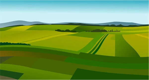 Сельский Пейзаж Зелеными Полями — стоковый вектор