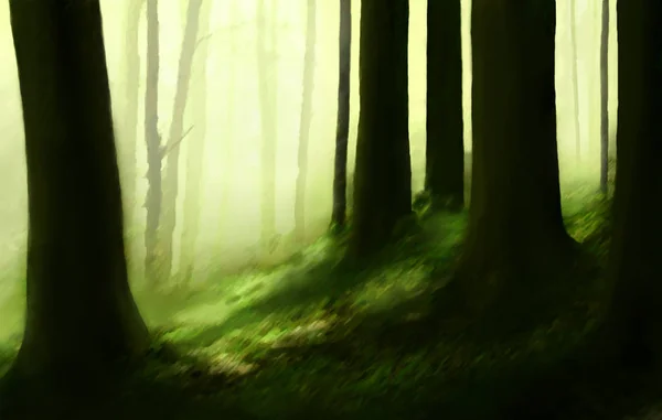 Forest nature abstract  illustration with trees