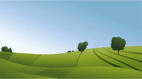 Paisaje Rural Con Campos Verdes — Vector de stock