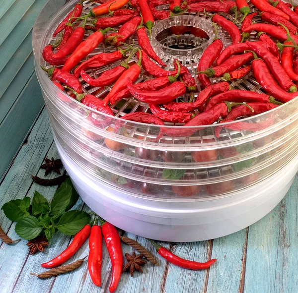 Tomates Rojos Rodajas Chiles Menta Una Secadora Eléctrica — Foto de Stock