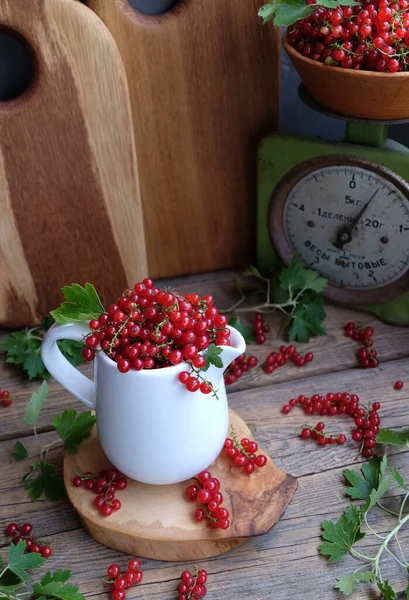 Pot Blanc Avec Groseilles Rouges Sur Fond Poids Vert Ménage Photos De Stock Libres De Droits