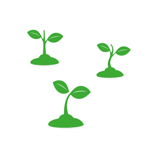 Planta Cultivada Sementes Pequena Planta Cultivo Conjunto Design — Vetor de Stock