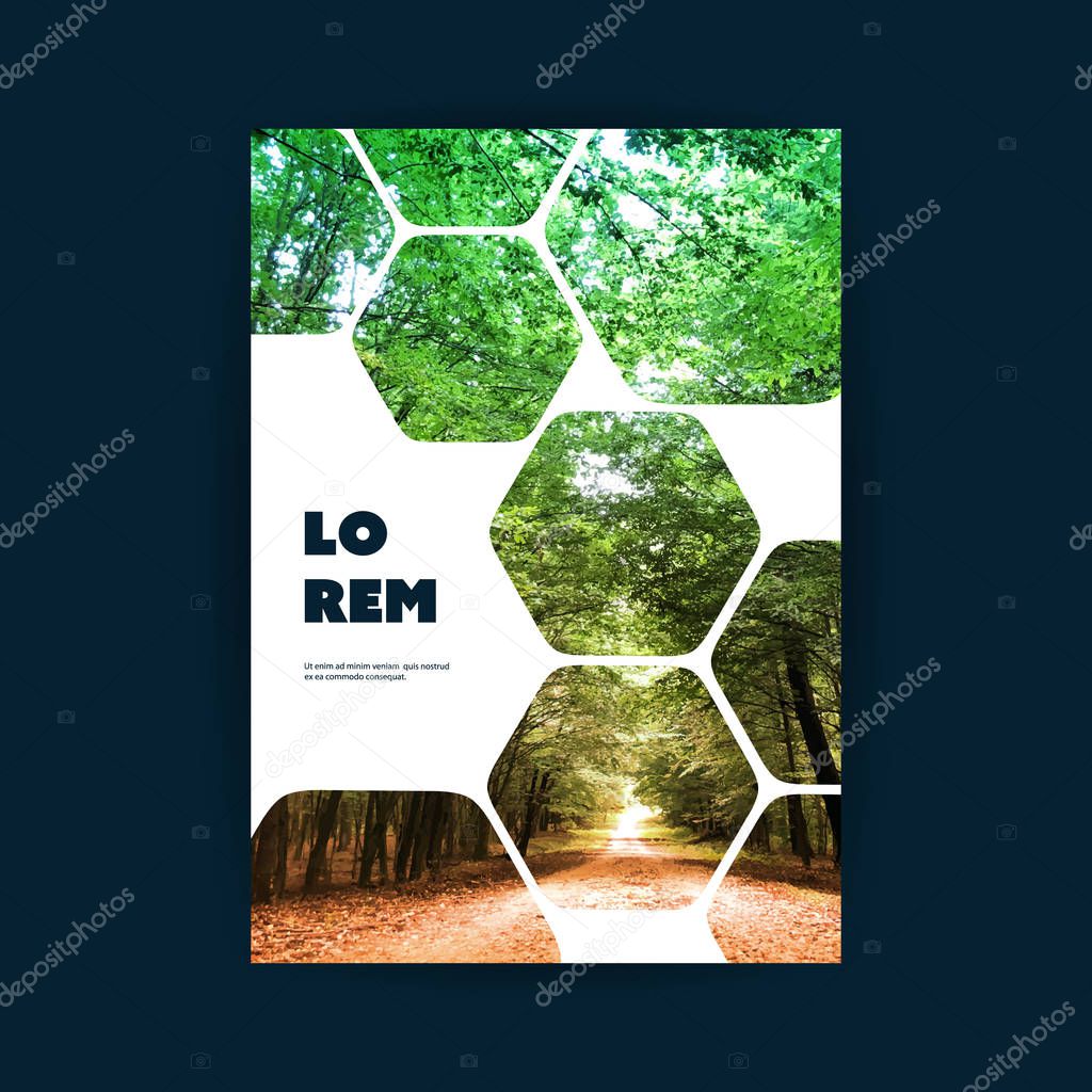 Modern Style Tiled Flyer or Cover Design for Your Business with Forest Image - Applicable for Reports, Presentations, Placards, Posters, Travel Guides 