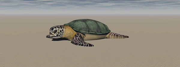 Hnědou želvu v oceánu-3D vykreslování — Stock fotografie