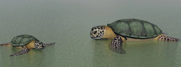 Barna teknős az óceán-3D renderelés — Stock Fotó