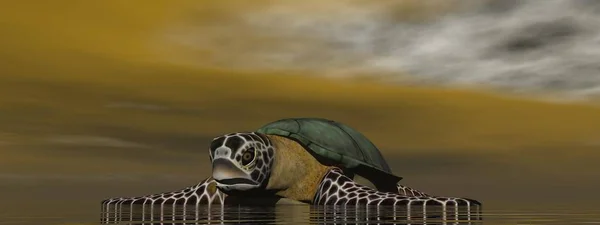 Tortuga marrón en el océano - representación 3d — Foto de Stock