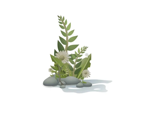 Très belles plantes avec des cailloux sur fond blanc - rendu 3D — Photo