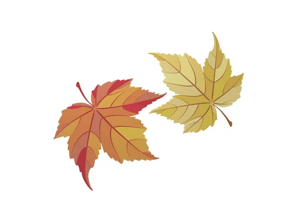Осенние листья на белом фоне - 3d рендеринг — стоковое фото