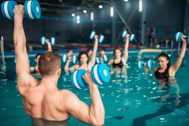 aqua aerobics workout with dumbbells in water sport center, indoor swimming pool, recreational leisure clipart