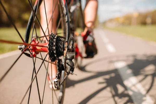 Radler Sportbekleidung Auf Fahrrad — Stockfoto