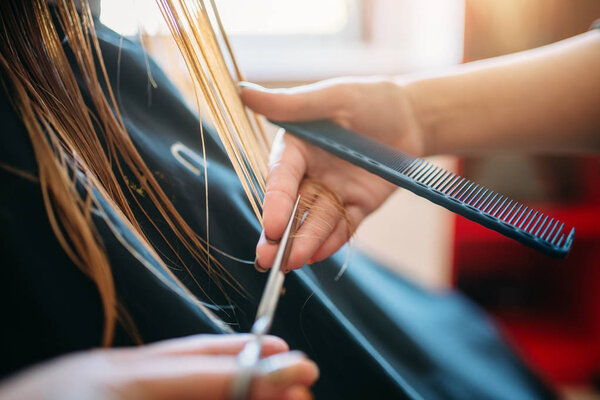 Female beautician runs the comb, woman in hairdressing salon. Hairstyle making in beauty studio