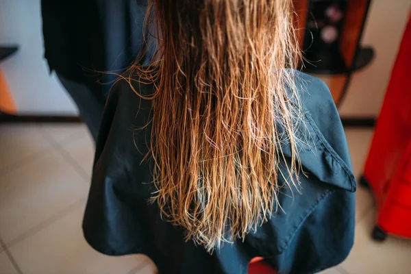Kobiece Klienta Mokrych Włosów Salonie Fryzjerskim Widok Tyłu Fryzurę Podejmowania — Zdjęcie stockowe