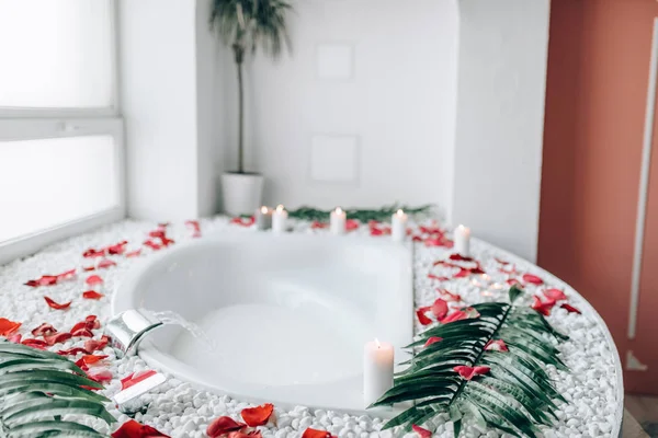 Luxusní Koupelny Interiér Zdobený Palmové Ratolesti Okvětními Lístky Růží Nikdo — Stock fotografie