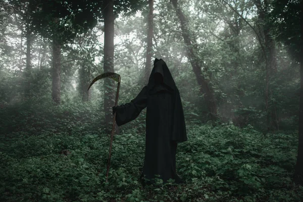 死在黑色的帽衫和在森林的镰刀 恐怖的风格 怪异的邪恶 — 图库照片