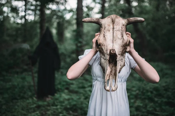 女性受害者的白色礼服与头骨的动物 而不是头部在森林 死亡的黑色帽衫和在背景的镰刀 照片中的恐怖风格 — 图库照片