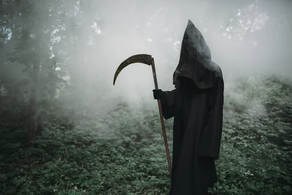 死在黑色的帽衫和在黑暗的薄雾森林的镰刀 恐怖的风格 幽灵般的恶魔 — 图库照片