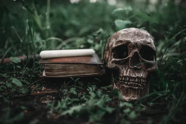 打开黑色魔术书与神秘的符号和人类头骨在草地上的森林 驱魔和超自然仪式 — 图库照片