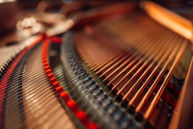 Inside grand piano, strings closeup, nobody. Under raised lid of the royale, chords clipart