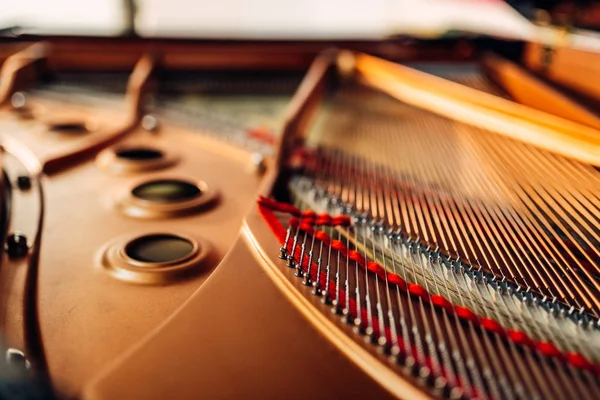 Inside grand piano, strings closeup, nobody. Under raised lid of the royale, chords