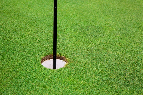 Final Hole Flag Golf Course Green Trimmed Grass Nobody Meadow — Stock Photo, Image