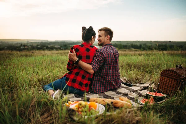 愛のカップルは ビュー 夏の畑でピクニック格子縞 後ろに座っています 一緒にロマンチックな男女 視察旅行レジャー — ストック写真