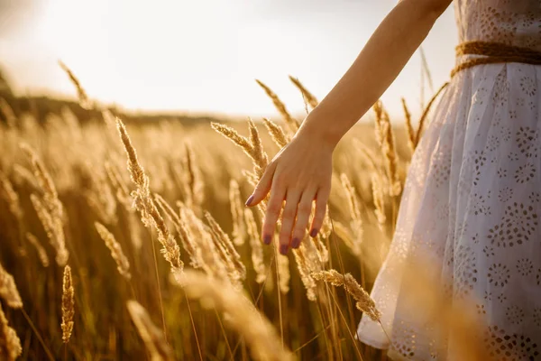 穿着白色连衣裙的女性在日落的麦田里散步 妇女在夏天草甸 后面看法 — 图库照片