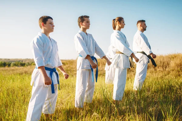 Karategruppe Weißen Kimono Training Sommerfeld Kampfkunsttraining Freien Schwarzgürtel Kämpfer — Stockfoto