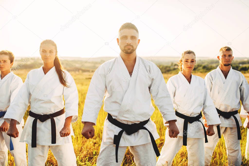 Karate group in white kimono, workout in summer field. Martial art training outdoor, black belt fighters