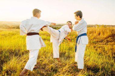 Gençler karate savaşçıları, yaz alanında savaşmak terbiye. Savaş sanatı egzersiz açık, teknik uygulama
