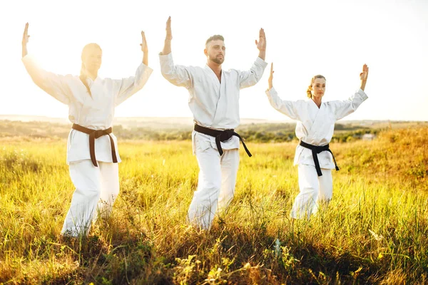 Kvinnliga Fighters Karate Träning Med Manliga Mästare Sommar Fält Kampkonst — Stockfoto