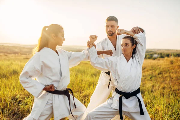 Női Harcosok Képzés Karate Férfi Master Nyári Mezőben Harcművészeti Edzés — Stock Fotó