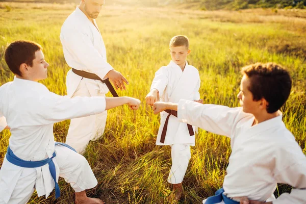 Junior Karate Klass Med Master Utbildning Sommar Området Kampkonst Träning — Stockfoto