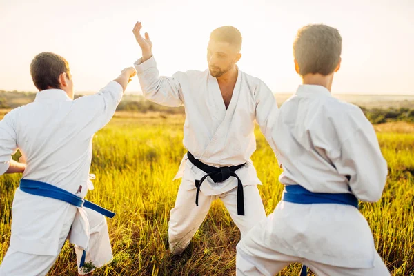 Junior Karate Fighters Med Master Bekämpa Färdighetsträning Sommar Fält Kampkonst — Stockfoto