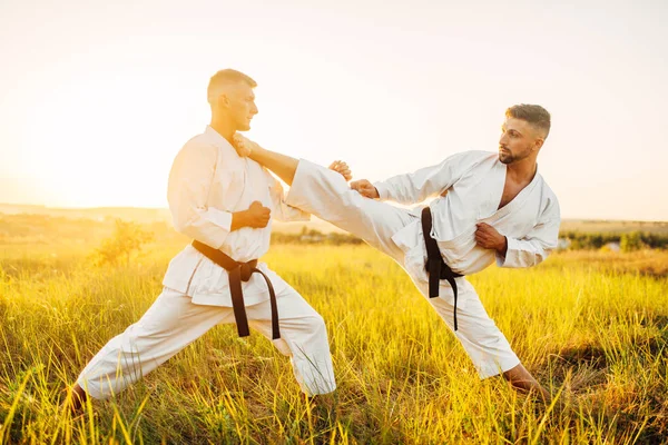 Két Karate Harcos Rúg Gyomorban Akcióban Képzés Küzdelem Nyári Mezőben — Stock Fotó