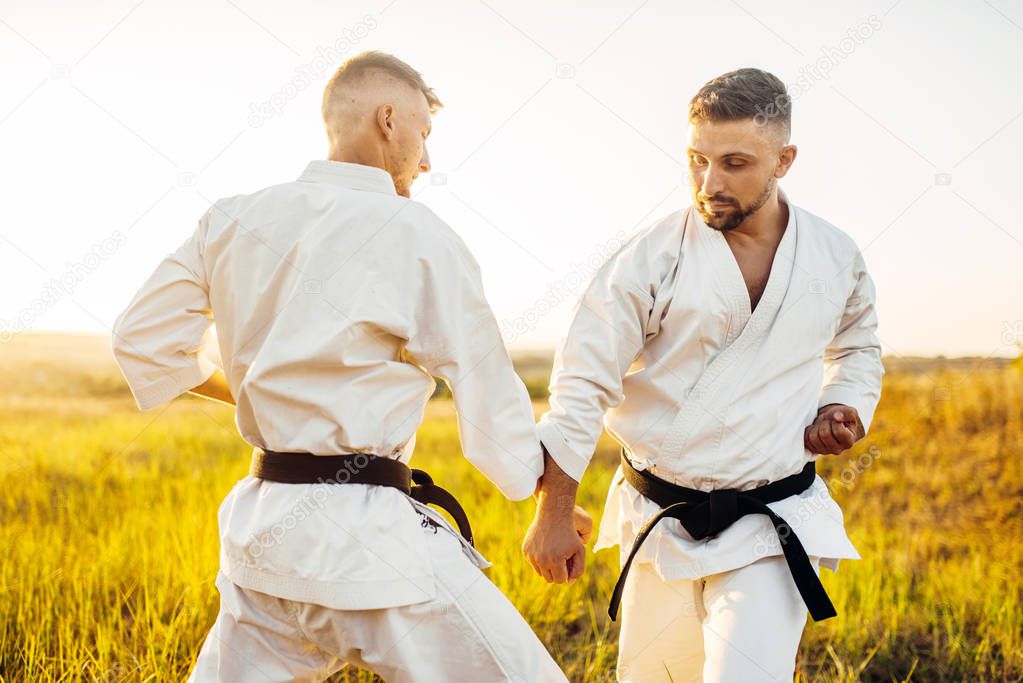 Two karate fighters with black belts on training fight in summer field. Martial art fighters on workout outdoor, technique practice