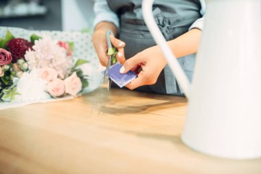 Kadın Çiçekçi Çiçek için gübre açılır. Floristik Servisi, bitki iş, çiçek dükkanı