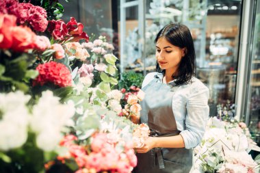 Kadın çiçekçi çiçek bir buket çiçek dükkanında yapmak için seçer. Floristik Servisi, bitki iş