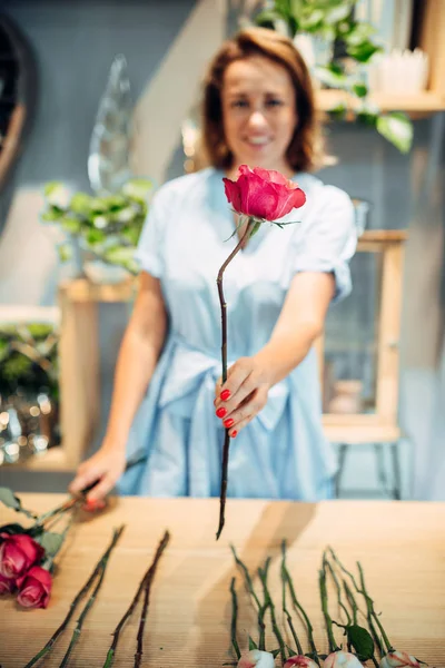 Female Florist Sorts Fresh Roses Table Flower Shop Floral Artist — Stock Photo, Image