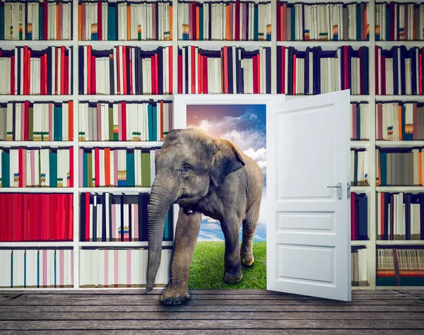 Elefant Gegen Bücherregal Der Bibliothek Wissenssymbol Metapher Weisheitskonzept — Stockfoto