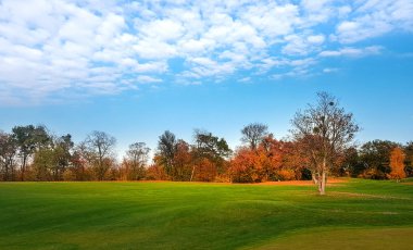 Sonbahar Park, yeşil çayır ağaçlar renkli yeşillik ile panorama. Orman Doğa Manzara güneşli gün kırmızı yaprakları ile