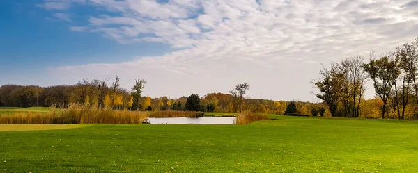 Parque Otoño Árboles Con Follaje Colorido Panorama Bosque Amarillo Paisaje — Foto de Stock