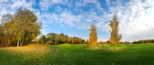 Parque Outono Árvores Com Folhagem Colorida Panorama Floresta Amarela Paisagem — Fotografia de Stock