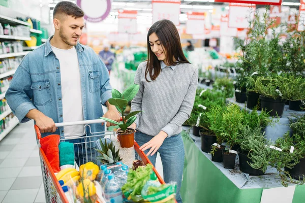 夫妇与购物车在植物和花卉超市部门 家庭购物 商店里的顾客 市场上的买家 — 图库照片